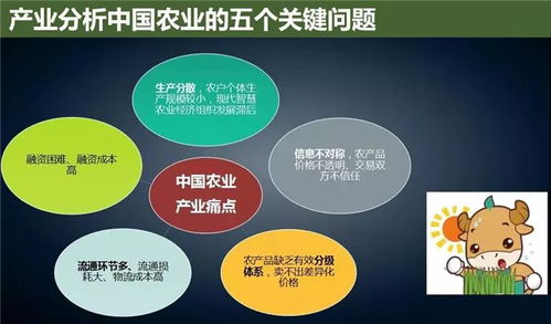云威榜第475期 互聯(lián)網(wǎng)數(shù)據(jù)服務(wù)賦能智慧農(nóng)業(yè)，大數(shù)據(jù)解決方案引領(lǐng)產(chǎn)業(yè)革新